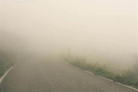 梦见大雾什么都看不见